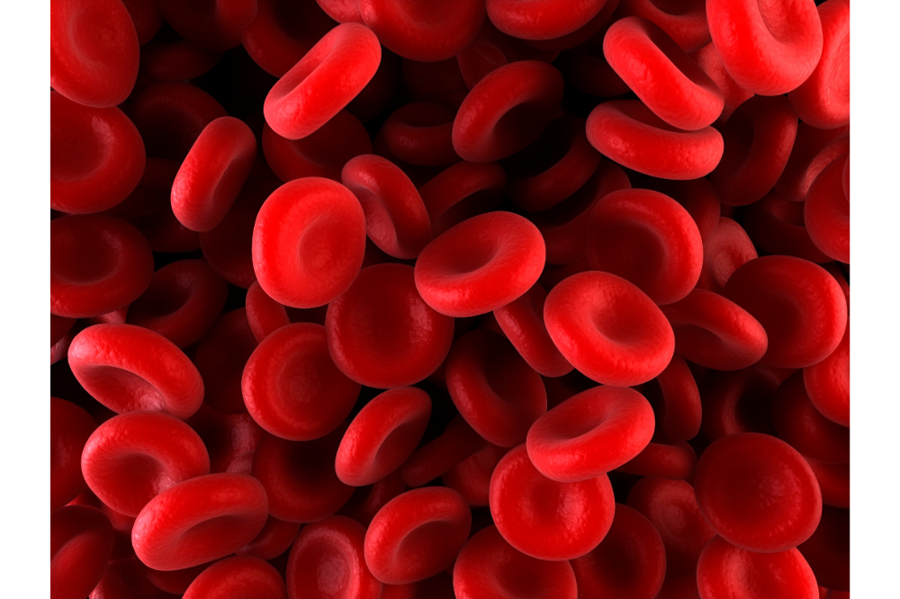 So, What Is Blood Glucose?